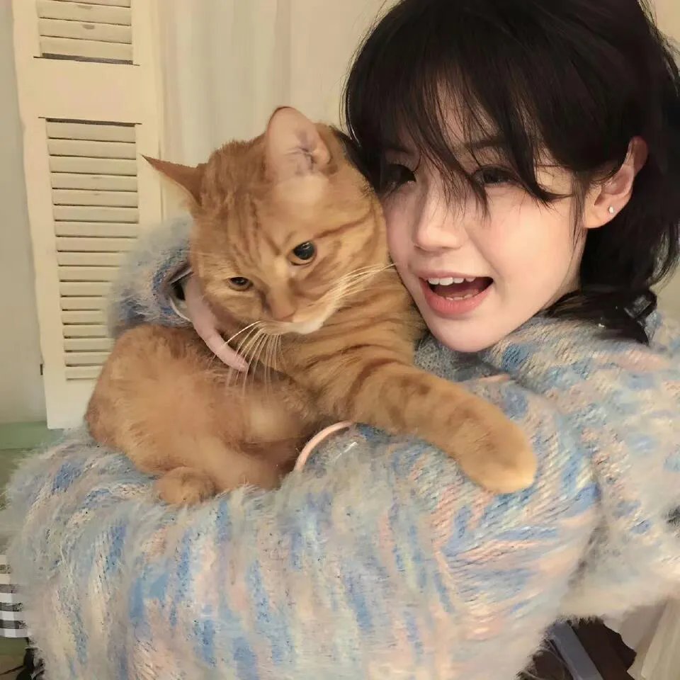 柳烈的音乐专辑